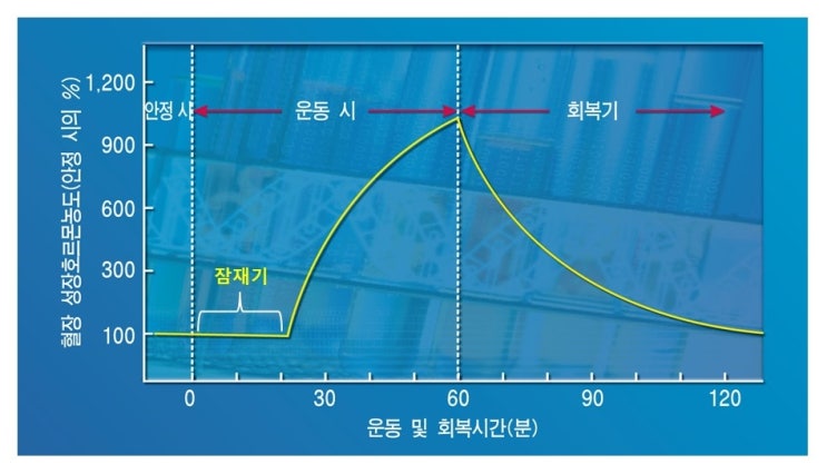  키성장과 체중, 운동과  키성장, 성장호르몬,  성호르몬분비와 성장판닫힘