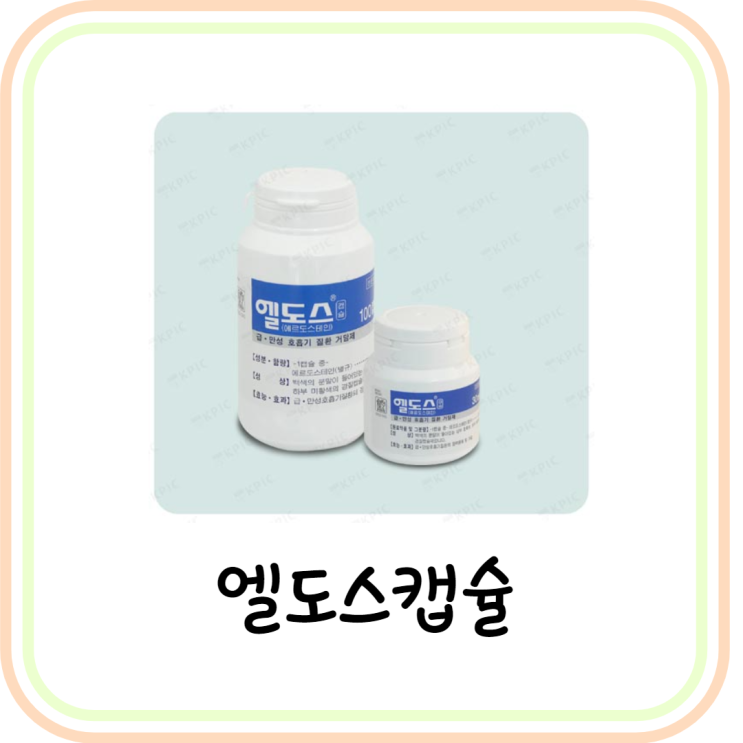 [가래약] 엘도스캡슐 효능/성분/복용법 (에르도스테인)