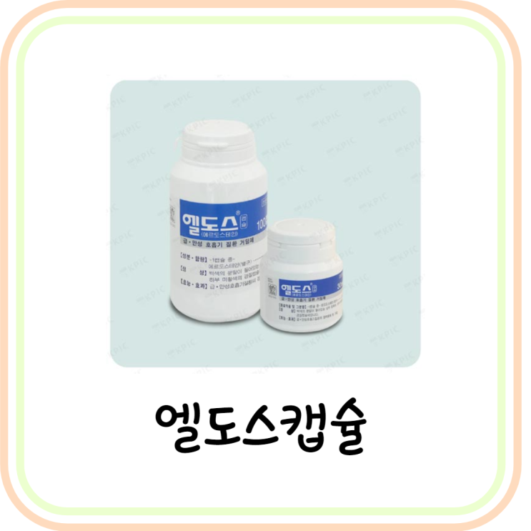  [가래약] 엘도스캡슐 효능/성분/복용법 (에르도스테인)