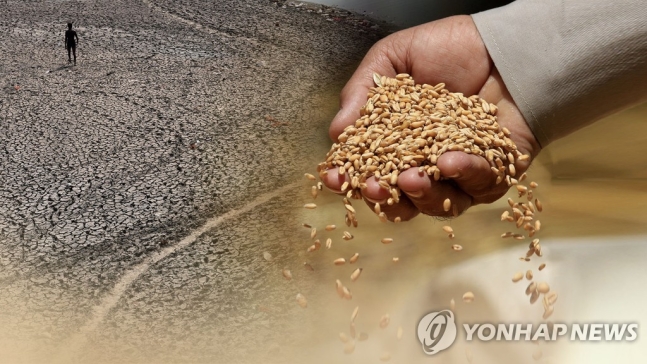 푸틴이 불붙인 식량 보호주의…기아·물가 고통 커지고 길어진다 푸틴이 불붙인 식량 보호주의…기아·물가 고통 커지고 길어진다