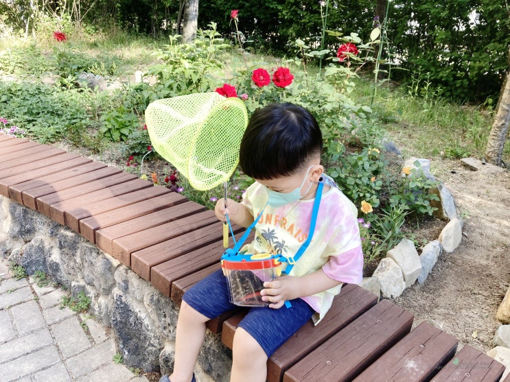 곤충채집통 잠자리채 세트 아기랑 자연관찰 더우드랜드 곤충채집통 잠자리채 세트 아기랑 자연관찰 더우드랜드