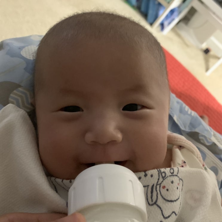  로아+83:모유수유 빠이