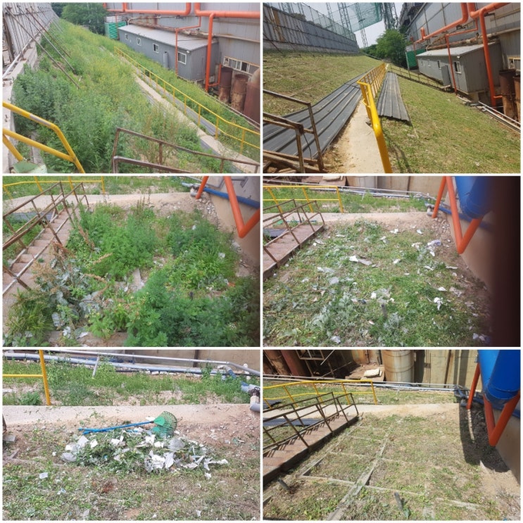 대구 테크노폴리스 기업 예초작업 잡초제거작업 마무리했어요