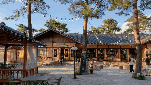  속초 설악산로 가는 길에 있는 대형 한옥 CAFE ::설악산로::