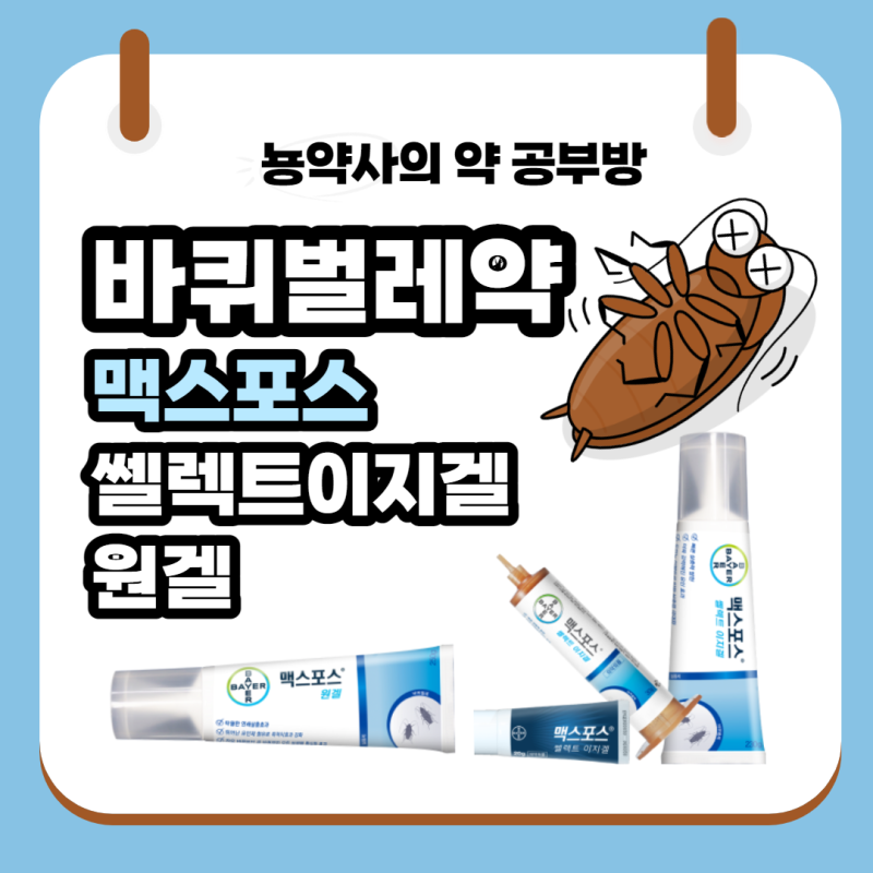 [뇽약사] 약국 바퀴벌레약, 바이엘 맥스포스 쎌렉트이지겔, 맥스포스 원겔, (효과, 사용법)