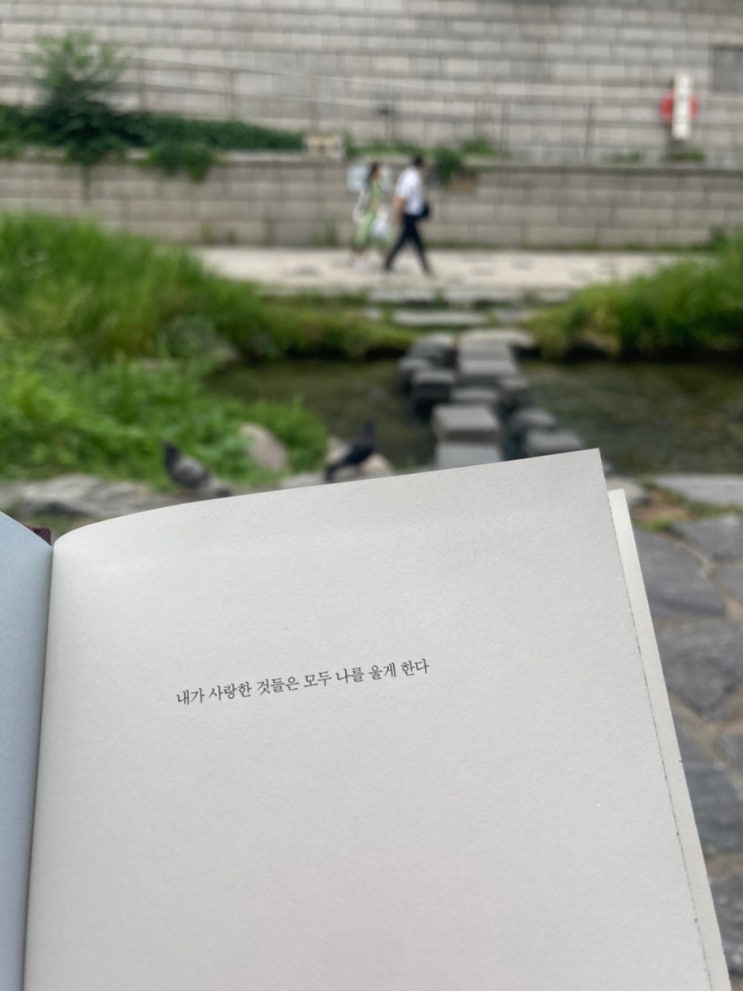  내가 사랑한 것들은 모두 나를 울게한다