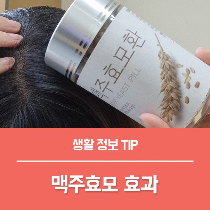  맥주효모 , 맥주효모환 비오틴 효과 4가지 부작용 까지