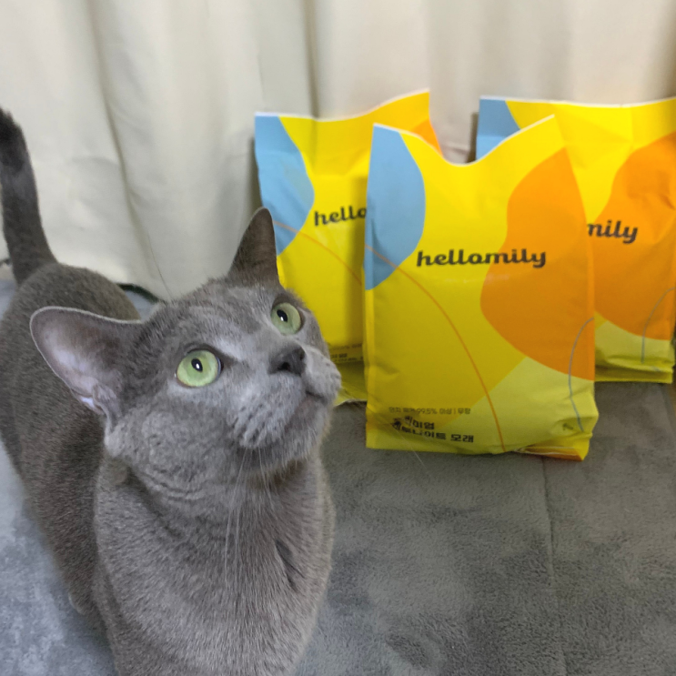  고양이 모래 : 헬로밀리 벤토나이트
