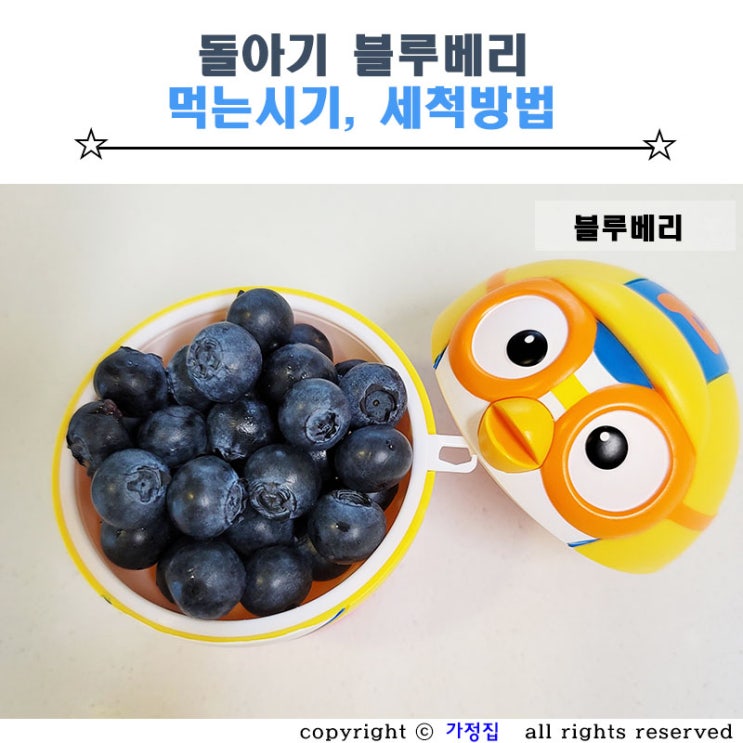  돌아기 블루베리 먹는 시기, 세척방법