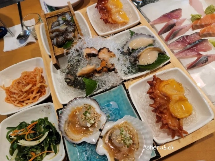  성북구청/삼선교 횟집_섭지코지마씸 B코스