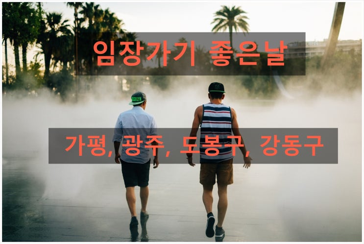 임장가기 좋은 날 - 경기도 가평, 양평, 강동구 일원