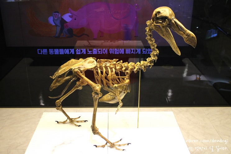  상주 국립낙동강생물자원관 - 우리 땅에 이런 것도 있었네