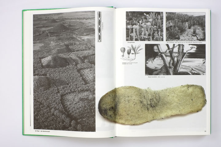  Batia Suter(바티아 수터) - Photographic Encyclopedia