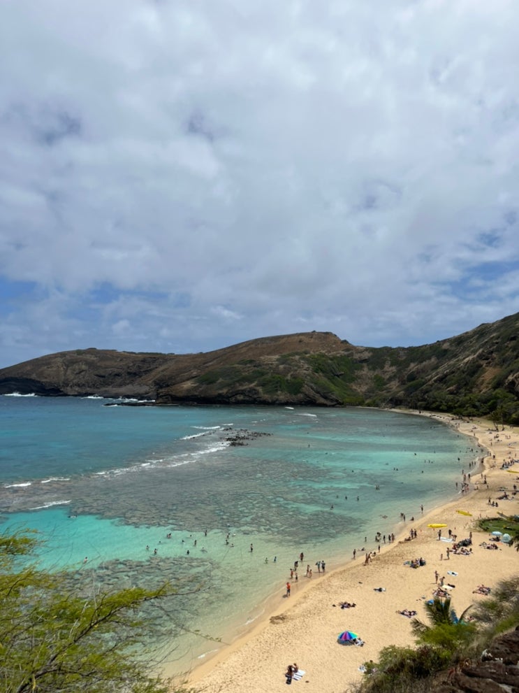 하와이 신혼여행 | 하나우마베이에서 스노클링(feat.사전예약 사이트)