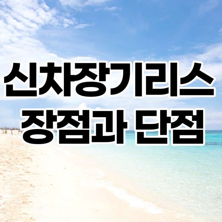  차량리스 자동차리스견적 가격비교 신차장기리스 장점 단점