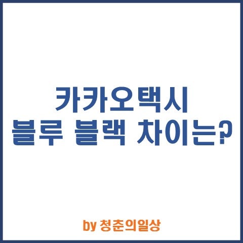 카카오택시 블루 블랙 가격 요금 차이 카카오T 등급