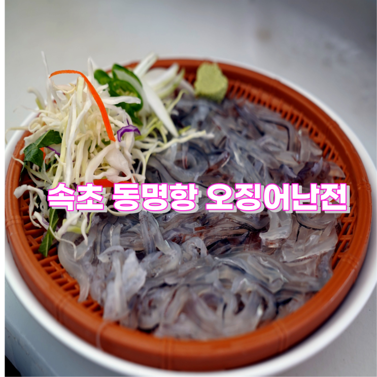 동명항 오징어 난전 운영시간 및 속초 제철 음식 추천 동명항 오징어 난전 운영시간 및 속초 제철 음식 추천