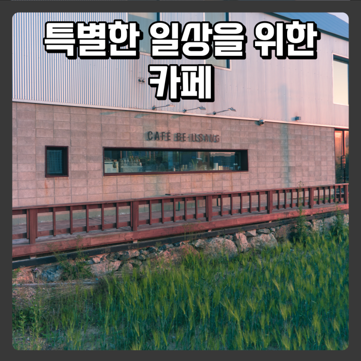  세종카페추천 특별한 일상을 위한 카페비일상