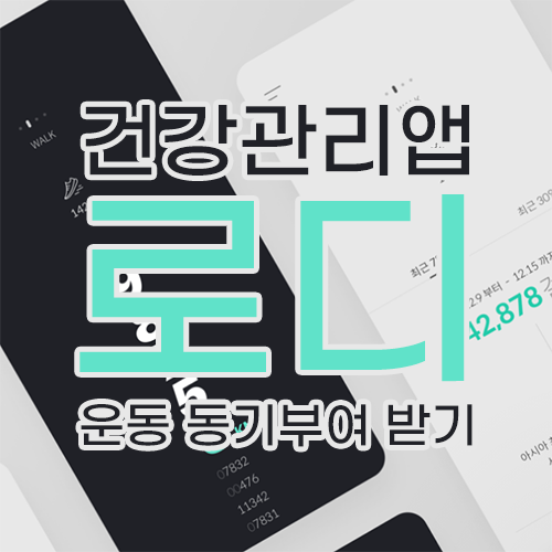 운동 동기부여 건강관리앱 '로디'