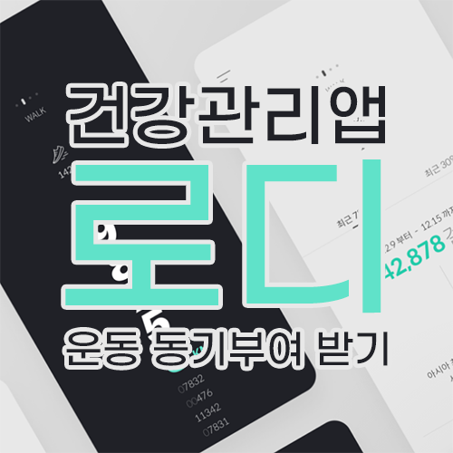 운동 동기부여 건강관리앱 '로디' 운동 동기부여 건강관리앱 '로디'