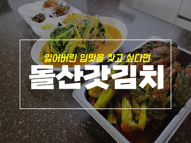  맛있는김치추천 입맛이 없을 땐 여수돌산갓김치 어때