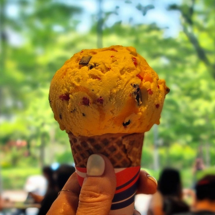  베스킨라빈스 피카츄 팥빙수 먹고 조카 선물로 포켓몬 우산