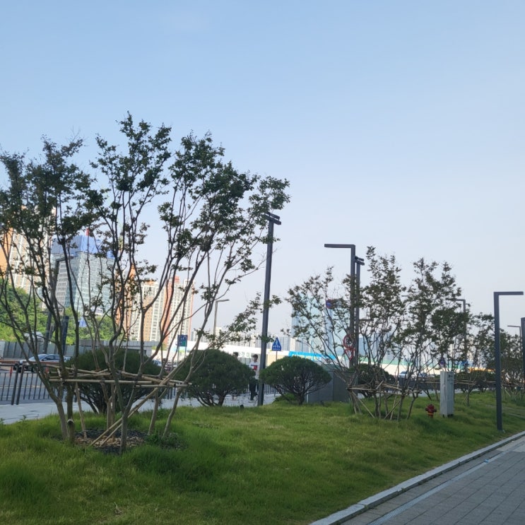  0528 : 주말인듯 아닌듯