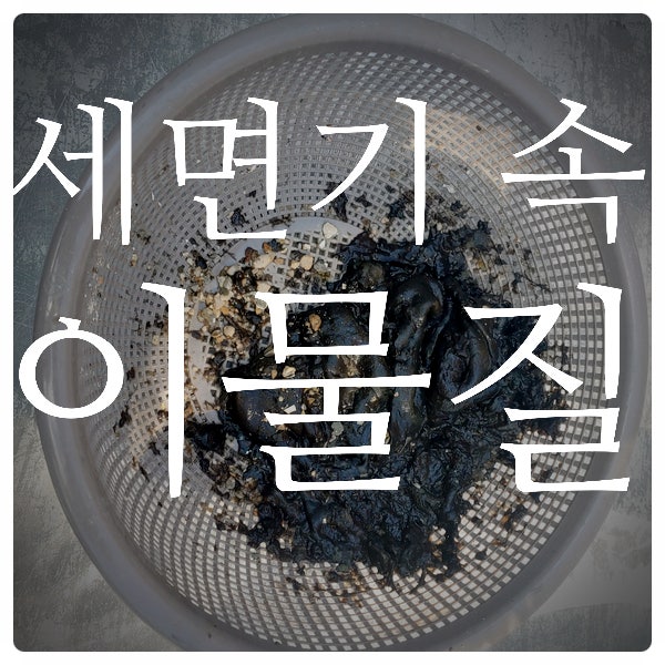  청주변기막힘 해결하러 갔다가 가정파탄범 될 뻔했습니다