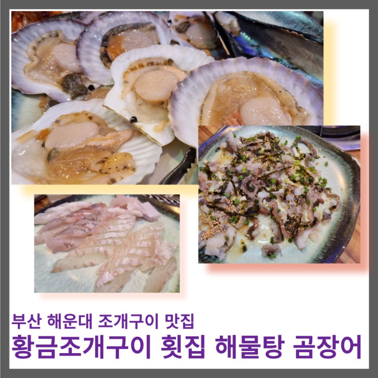 부산 해운대 조개구이 맛집 : 황금조개구이횟집 해물탕 곰장어 3호점