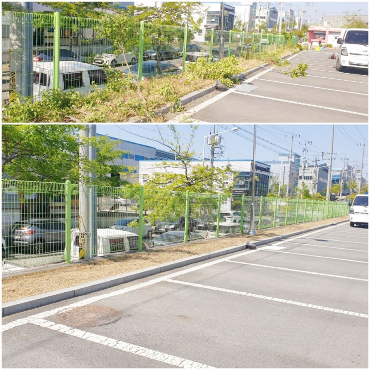  [대구기업 조경관리] 대구 국가산단  기업 예초작업 잘 마무리 하였어요