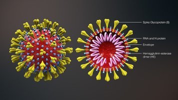 세부자유여행 “필리핀 정부발표 여행에서의 PCR 검사 없어진다” 희소식 – 세부소식/세부골프여행/세부골프투어/필리핀골프여행/필리핀골프투어