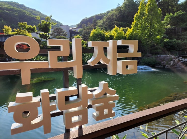  유모차도 괜찮아 ! 33개월 아이와 화담숲 주말 나들이 (4살아이랑 갈만한곳/요금/모노레일)