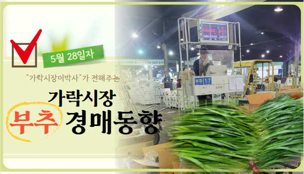  [경매사 일일보고] 가락시장 5월 28일자 "부추" 경매동향을 살펴보겠습니다!