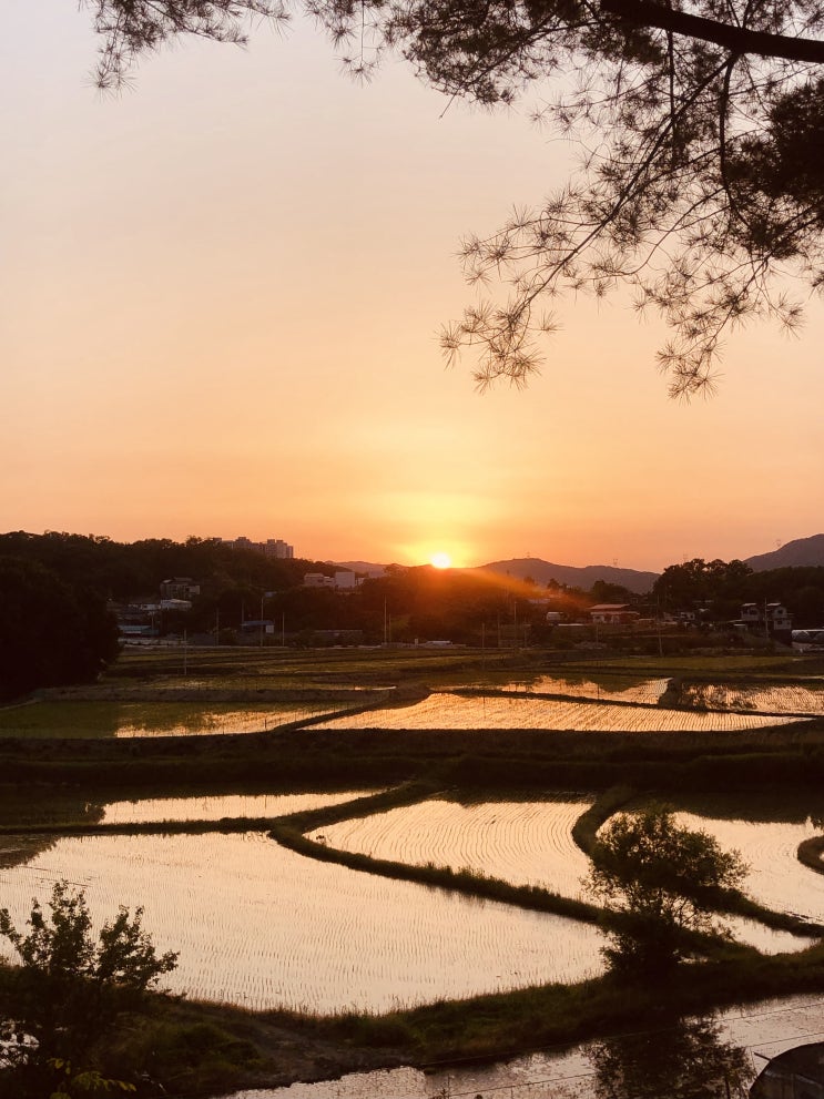 노을 지는 풍경