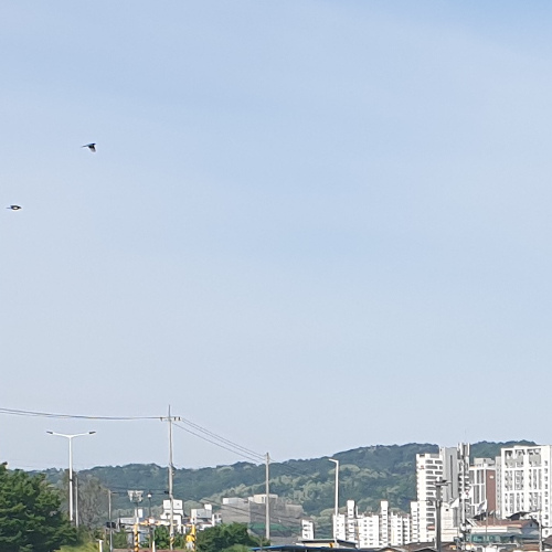  '지구'는 '거대 우주선' ?