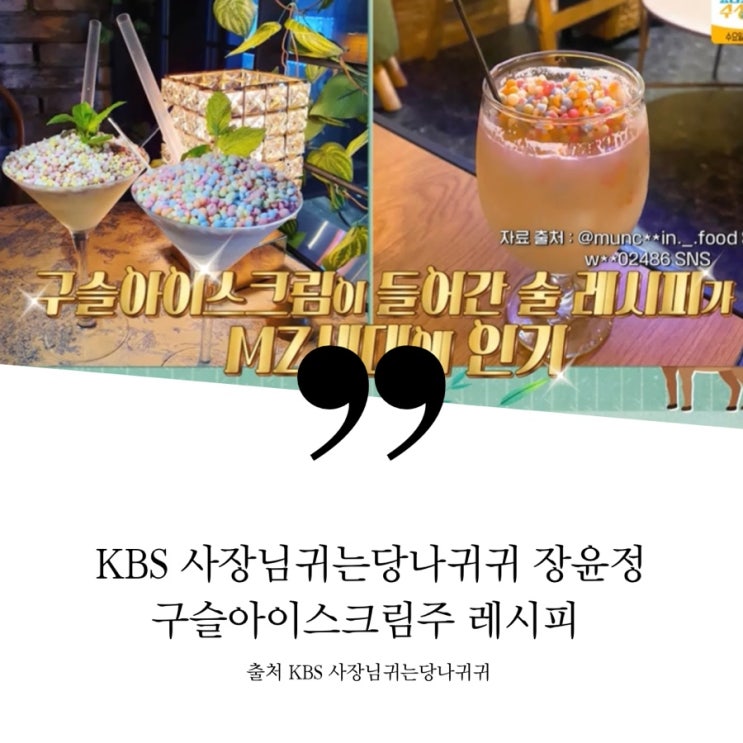 KBS 사장님귀는당나귀귀 장윤정 집들이 MZ 술 구슬아이스크림주 레시피 비율