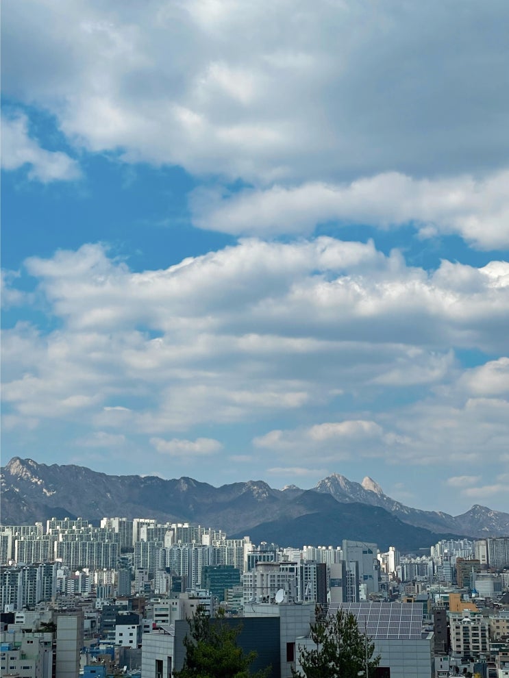  【7, 서울기록】서울에서 두 달 반, 지극히 개인적인 맹그로브 중도퇴실 후기, 코리빙하우스의 좋았던 점과 아쉬웠던 점을 담은 기록