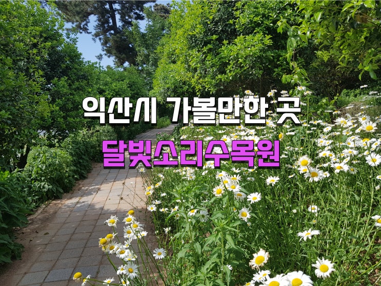  전북 익산 가볼만한 곳 달빛소리수목원, 달빛 내리는 소리를 담아내다.(2022.05.28)