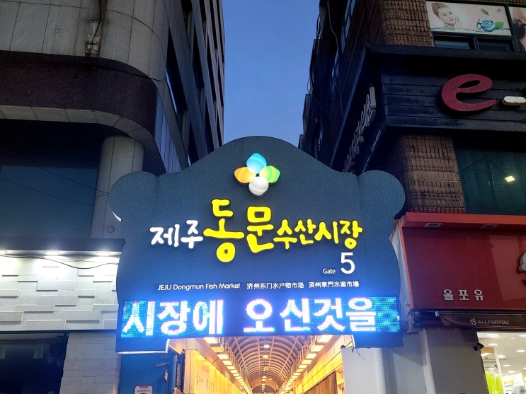 제주도 제주 동문시장 먹거리 야시장 및 제주도 민속 5일장 날짜 제주도 제주 동문시장 먹거리 야시장 및 제주도 민속 5일장 날짜