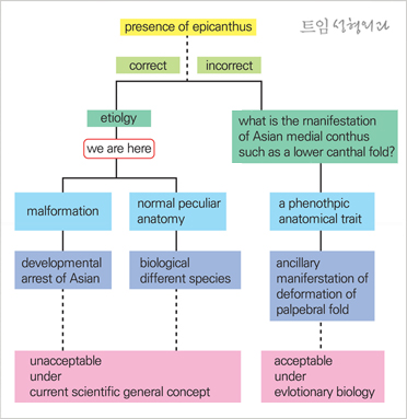  2-2. The paradigmatic approach : idea of Epicanthus in the context of Rasse, Ethnologie