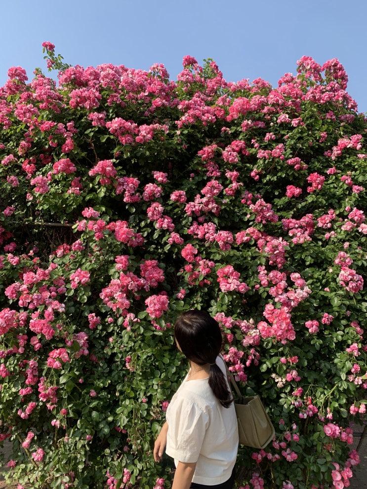 플레어 30대패션쇼핑앱 PLARE 하나만 사도 무료 배송 플레어 30대패션쇼핑앱 PLARE 하나만 사도 무료 배송