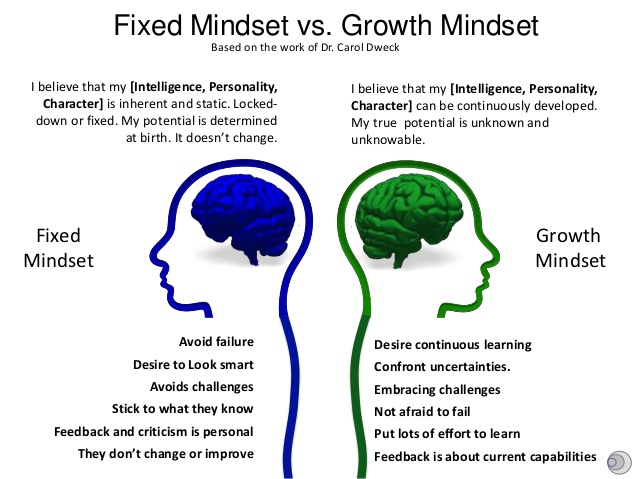 고정 마인드셋(fixed mindset) vs. 성장 마인드셋(growth mindset)