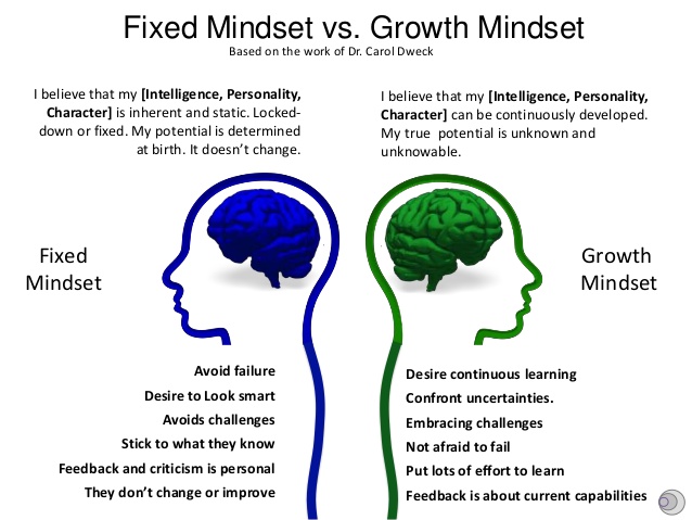  고정 마인드셋(fixed mindset) vs. 성장 마인드셋(growth mindset)
