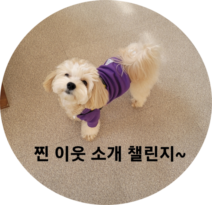  찐 이웃 소개 챌린지~ 나와 이웃을 알아가요^^
