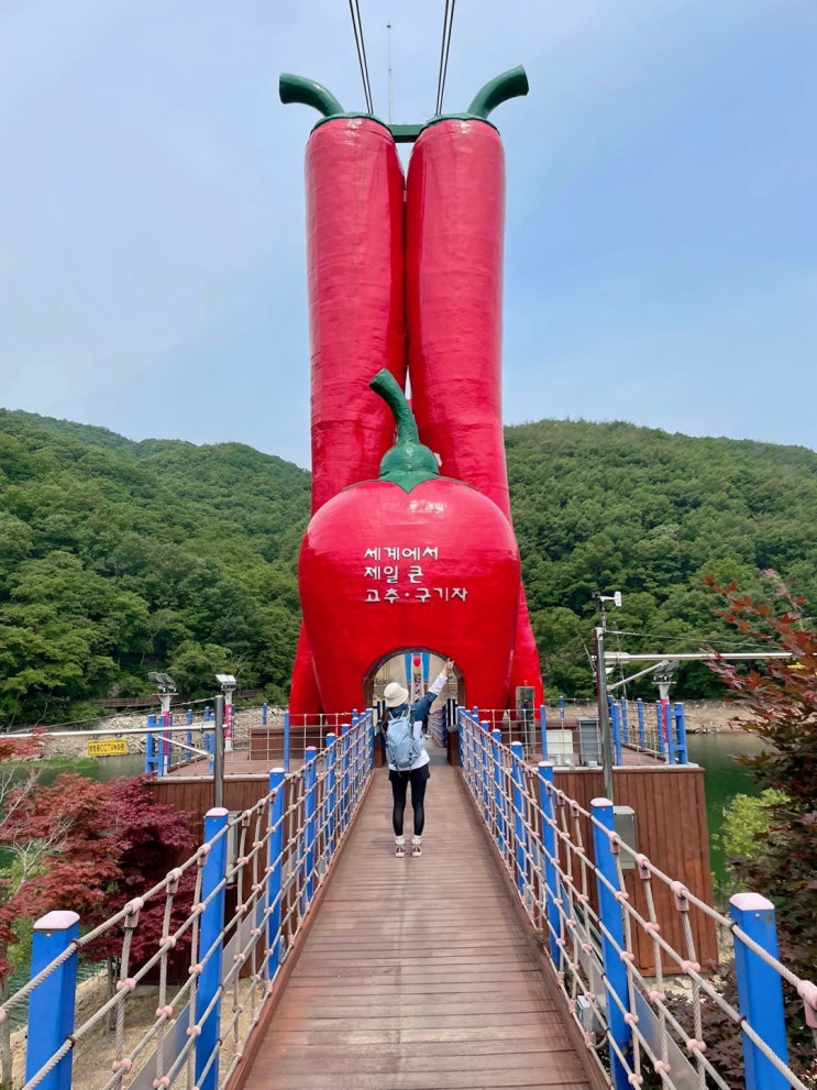  [청양] 칠갑산 등산 천장호 출렁다리 / 대천 청해조개구이 / 고박사해물찜 / bhc신메뉴 치퐁당
