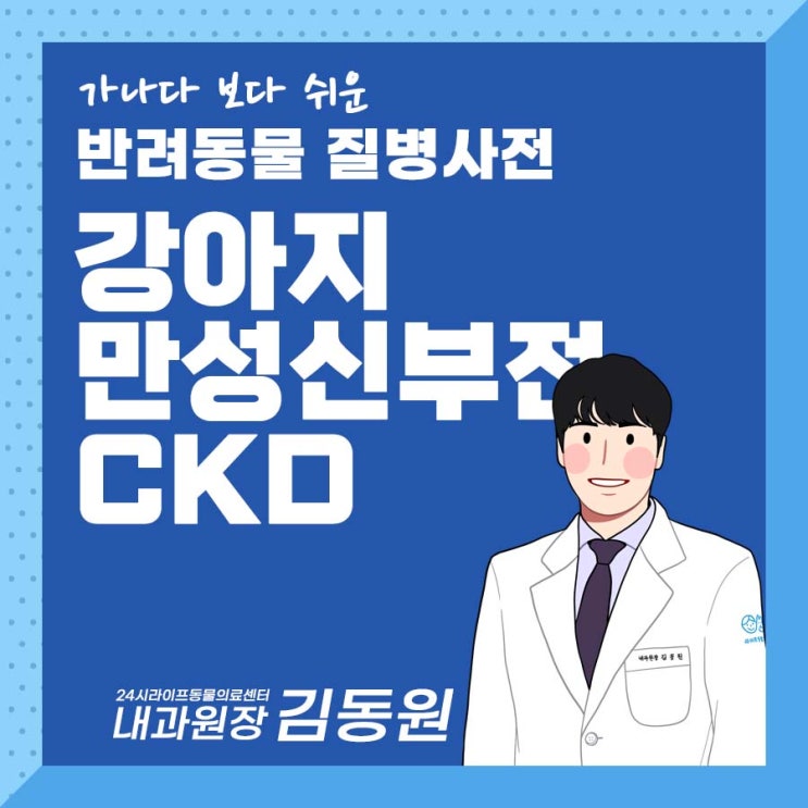 대구 강아지 신부전 : 강아지 만성 신부전 CKD , 신부전의 증상 진단 치료까지