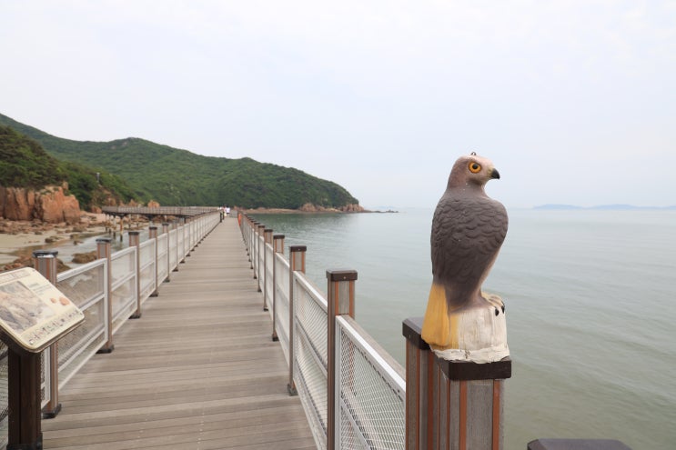  [무의도 : 해상관광탐방로] 산과 바다 사이 해상 데크길을 따라 걷기 좋은 곳 (feat. 하나개해수욕장)