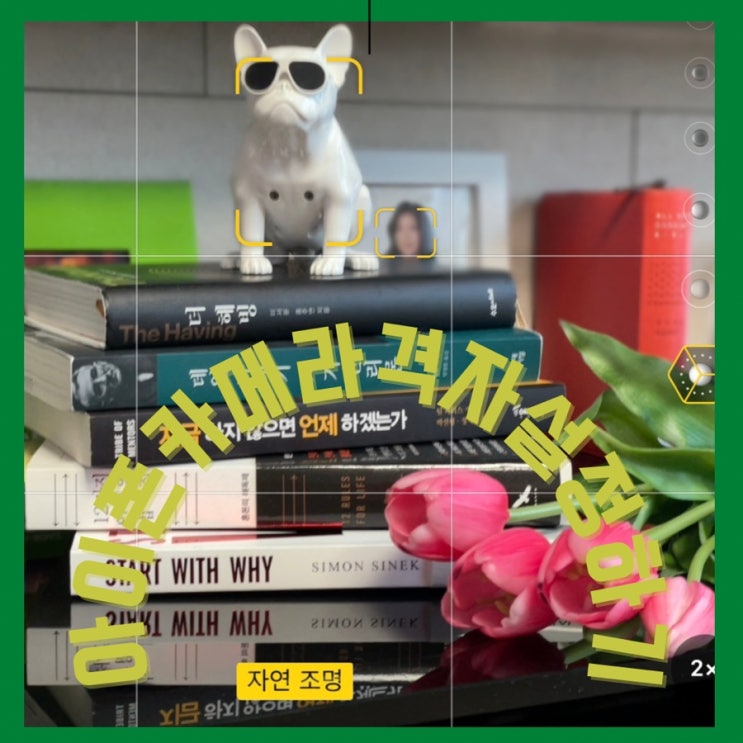  사진잘찍는방법 아이폰 카메라 격자기능 설정하면 쉬워요