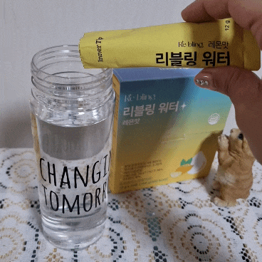 이너팁 리블링워터 레몬맛 이렇게 맛있기 있기?