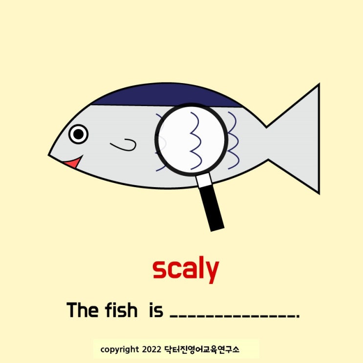 비늘로 뒤덮인 scaly 영단어카드